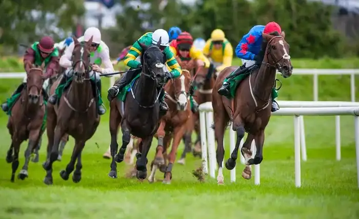 How to use Frequence Turf to improve your bets on horse racing