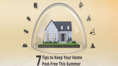 Home Pest-Free