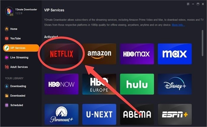 Y2Mate Netflix Downloader