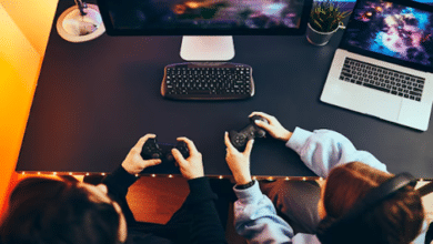 Gaming Sector