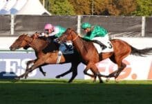 victoire turf