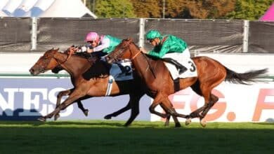 victoire turf