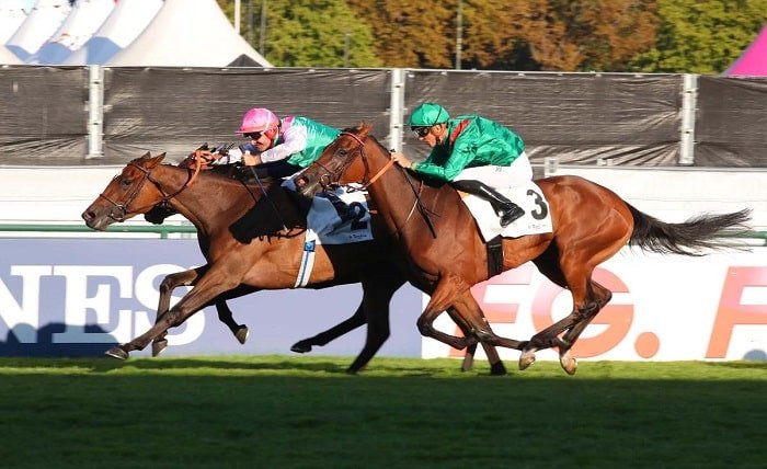 victoire turf