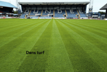 dens turf