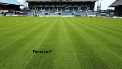 dens turf