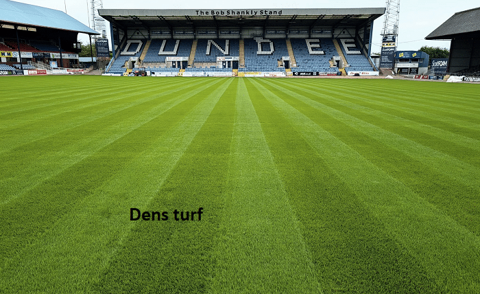 dens turf