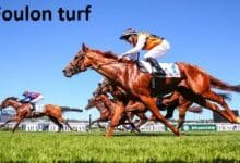 foulon turf