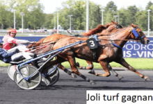 joli turf gagnant