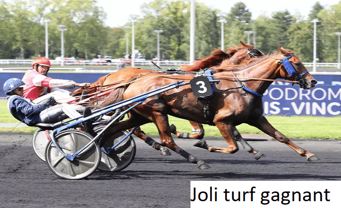 joli turf gagnant