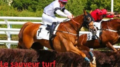 le sauveur turf