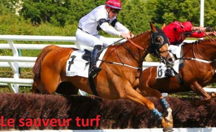 le sauveur turf