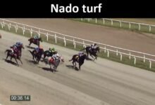 nado turf