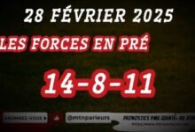 pmu turf pronostics gratuit