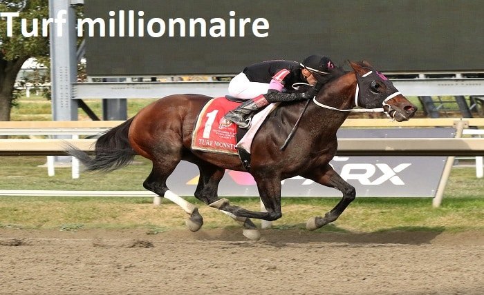 turf millionnaire