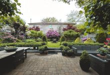 Backyard Landscaping