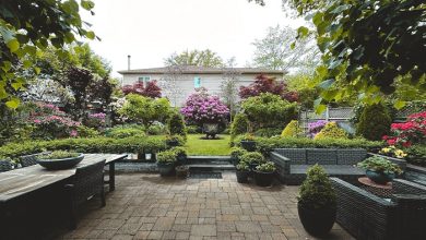 Backyard Landscaping