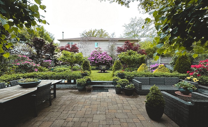 Backyard Landscaping